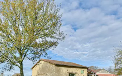 Compreignac (87140)