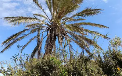 Sainte-Maxime (83120)