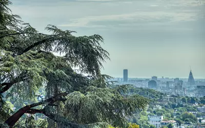 Ville-D'avray (92410)