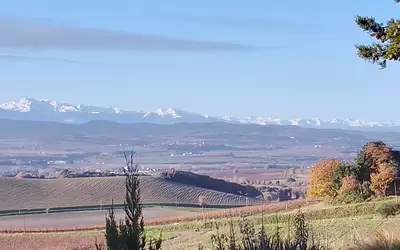 Villarzel-Du-Razès (11300)