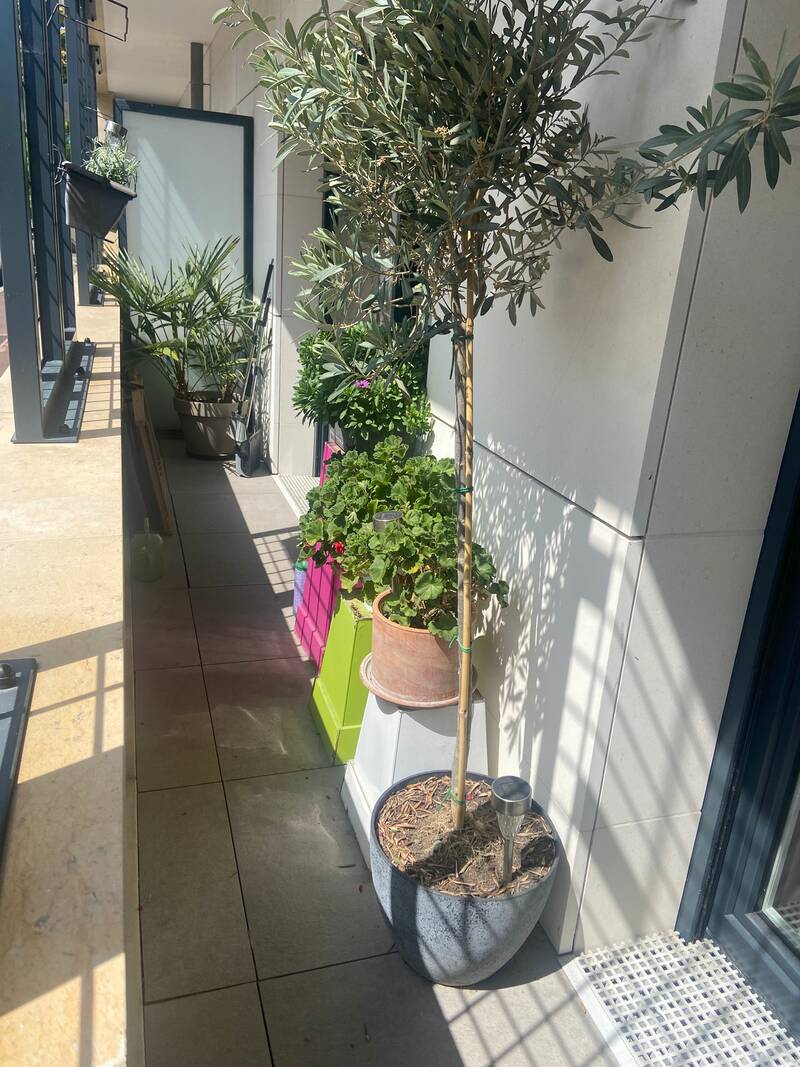 Clichy (92110)
