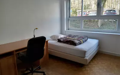 Palaiseau (91120)
