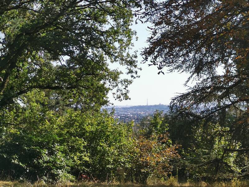 Saint-Leu-La-Forêt (95320)