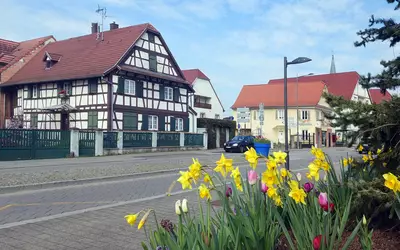 Hœnheim (67800)