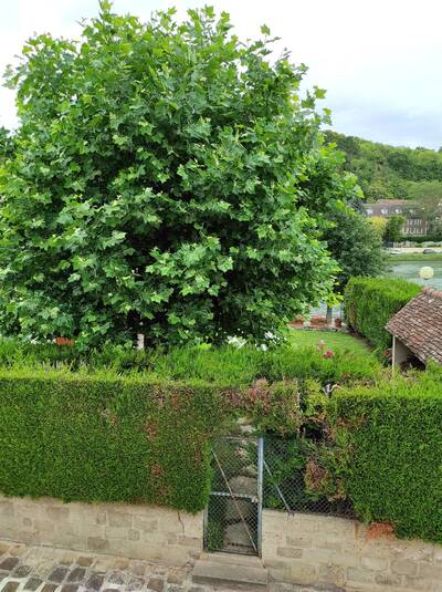 Vente maison 6 pièces Montereau-Fault-Yonne (77130)
