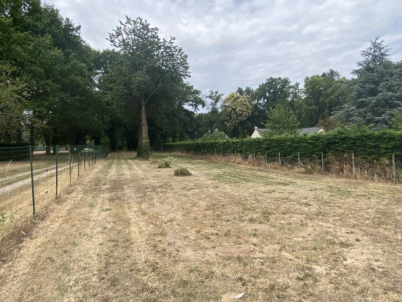 Brain-Sur-Allonnes (49650)