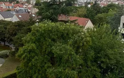 Clamart (92140)