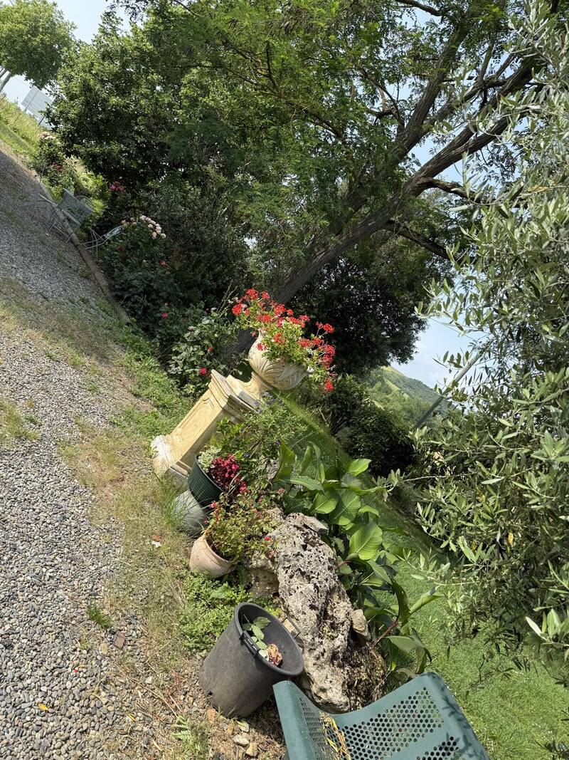 Castagnac (31310)
