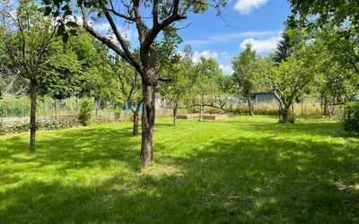 Pontoise (95000)
