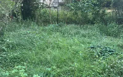 Courbevoie (92400)