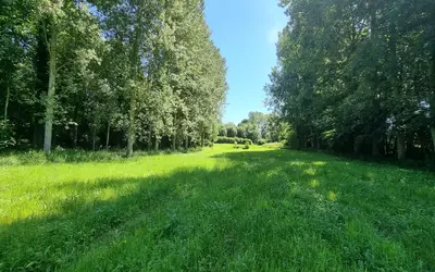 Saint-Hilaire-Le-Châtel (61400)