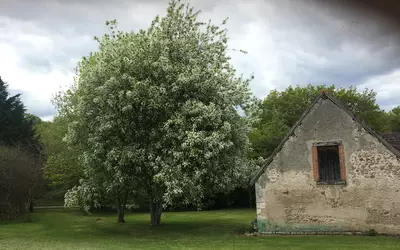 Poilly-Lez-Gien (45500)
