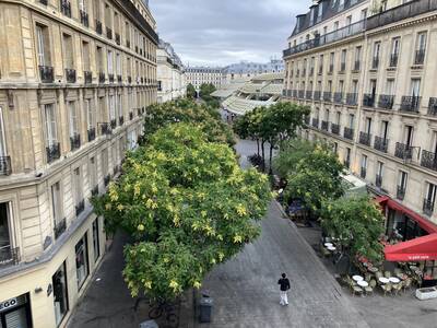 Vente appartement 2 pièces Paris 1er