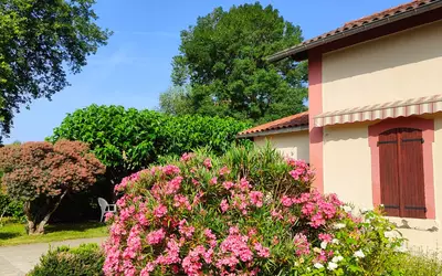 Senouillac (81600)