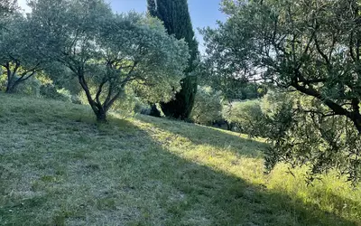 Neffiès (34320)