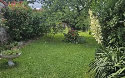 Vitry-Sur-Seine (94400)