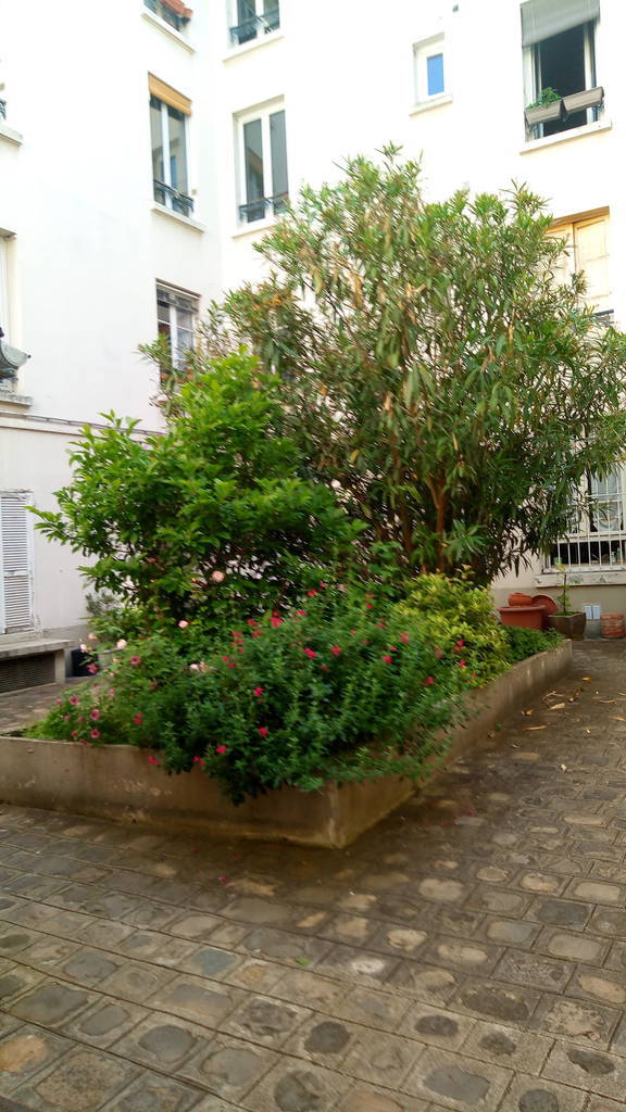 Paris 11E