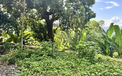 Madagascar