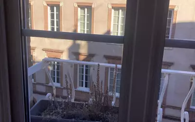 Toulouse (31000)