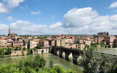 Albi (81000)