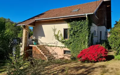 Saint-Dié-Des-Vosges (88100)