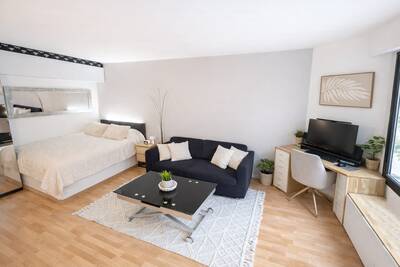Vente appartement studio Issy-les-Moulineaux (92130)