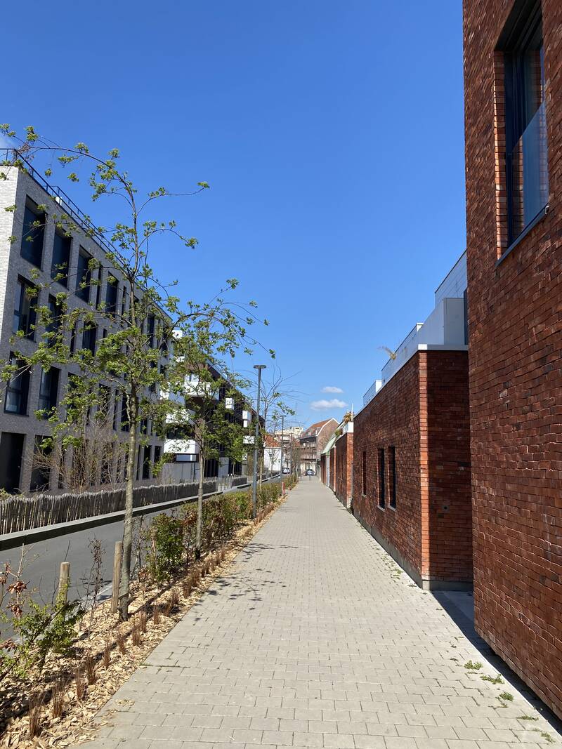 Lille (59000)