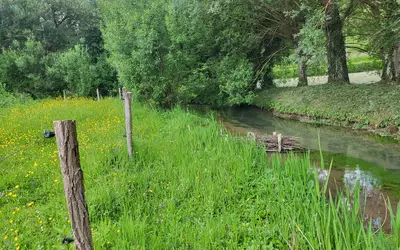 Caudebec-En-Caux (76490)