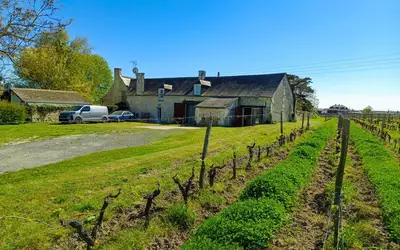 Bourgueil (37140)