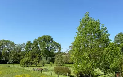 Montolivet (77320)