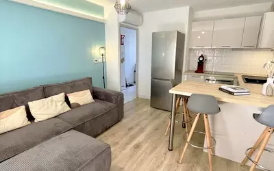 Toulouse (31000)