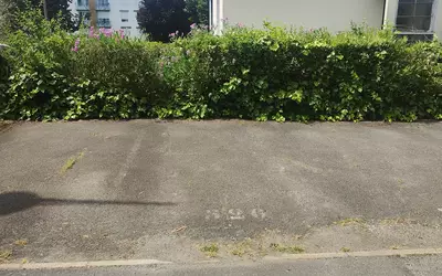 Rueil-Malmaison (92500)
