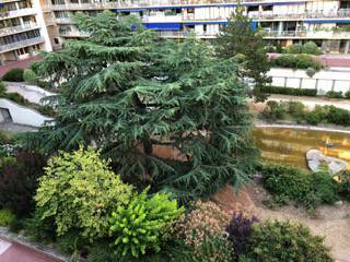 Location appartement studio Boulogne-Billancourt (92100)