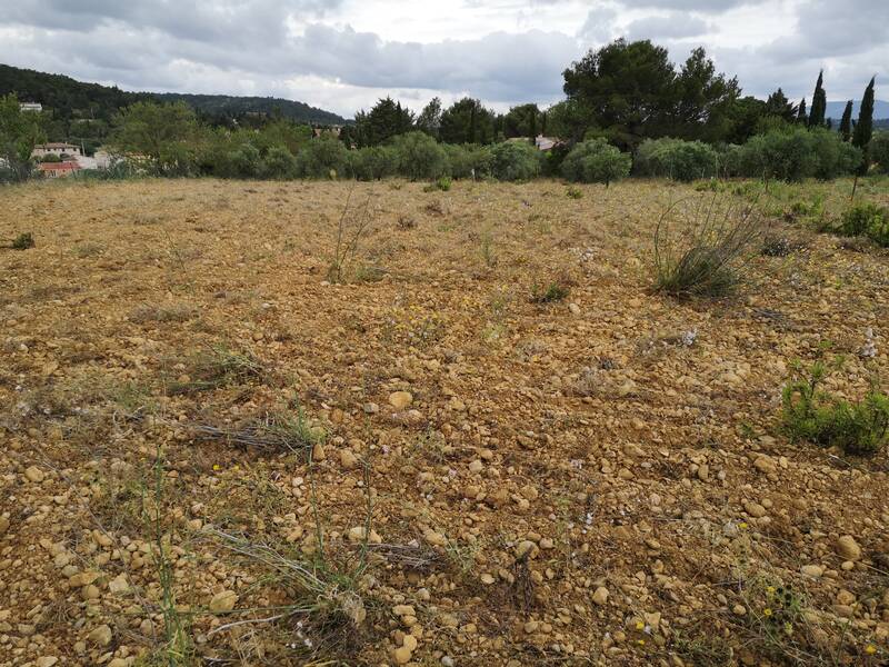 Thézan-Des-Corbières (11200)