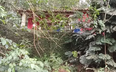 Brésil