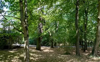 Vaires-Sur-Marne (77360)