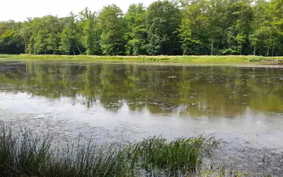 Tamnay-En-Bazois