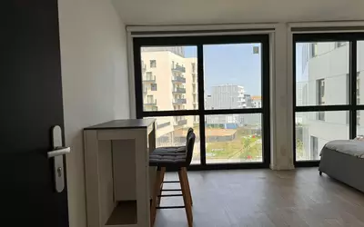 Palaiseau (91120)