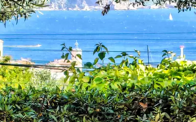 La Ciotat (13600)