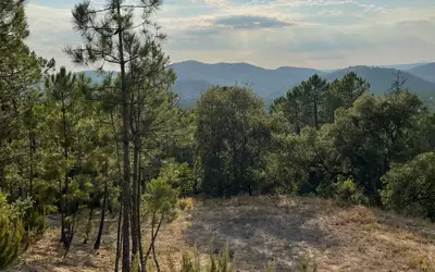 30 Min De St Tropez, Les Charles,Le Muy (83490)