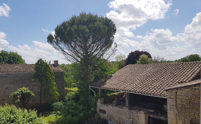 Saint-Romans-Lès-Melle (79500)
