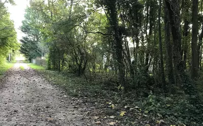 Chamigny (77260)