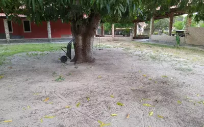 Brésil