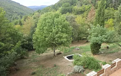 Saint-Pons-De-Thomières (34220)
