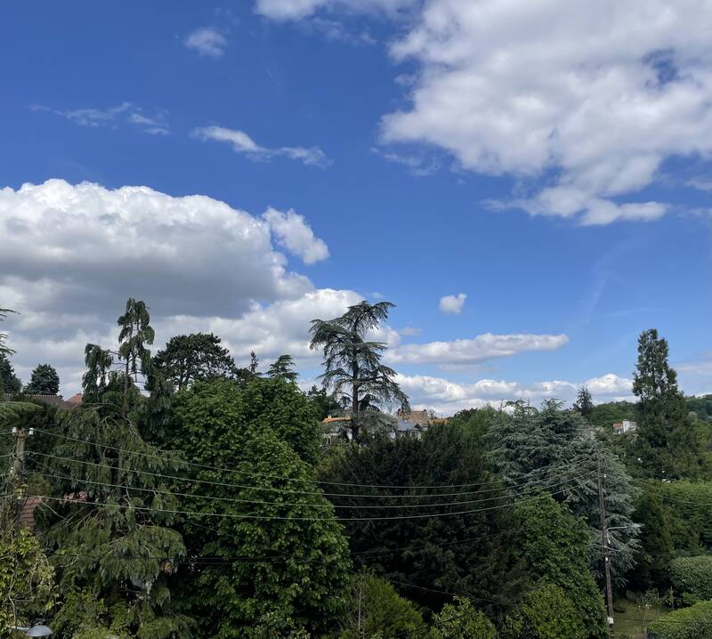 Bougival (78380)