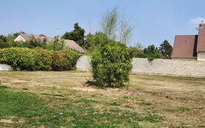Bois-Le-Roi (27220)