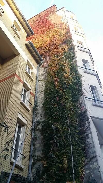 Location appartement 3 pièces Paris 20e