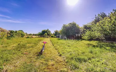 Ciré-D'aunis
