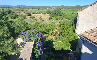 Montpeyroux