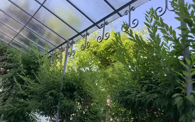 Bordeaux-Dans Le Quartier Recherché De  St Augustin -